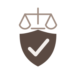 integrity governance icon